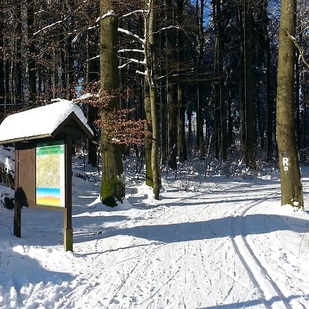 Gaestehaus Regina Ruhla Exteriör bild